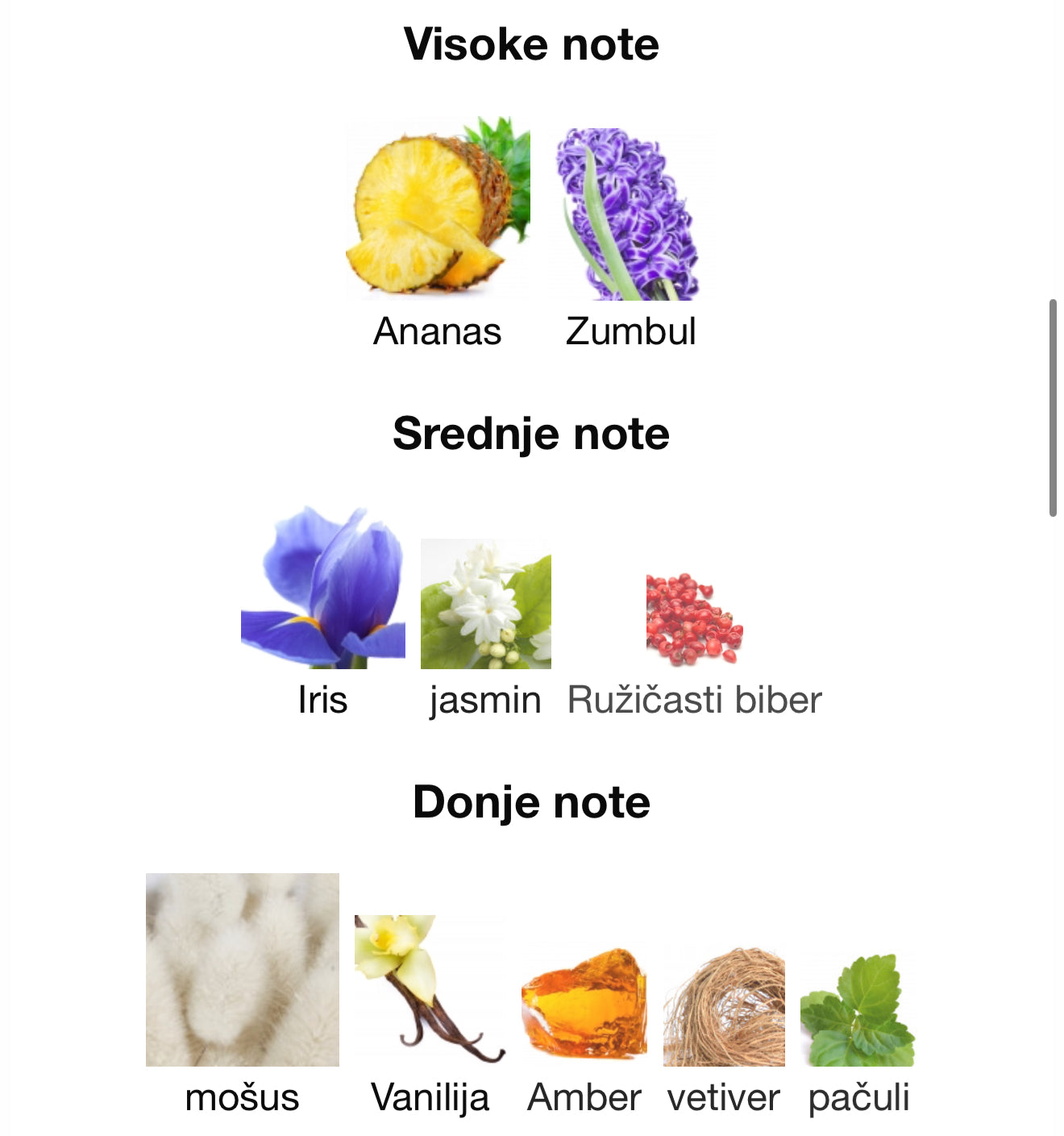 Rabab Gems by Zimaya