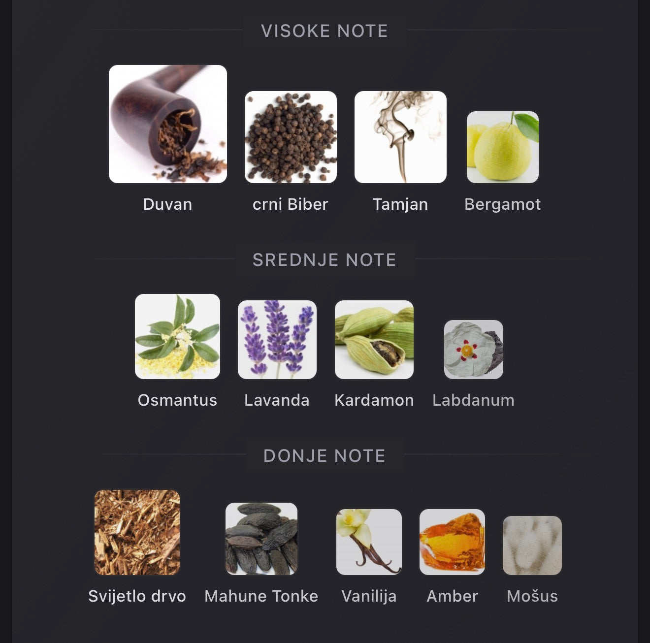 Charuto Regal Reserve by Pendora Scents
