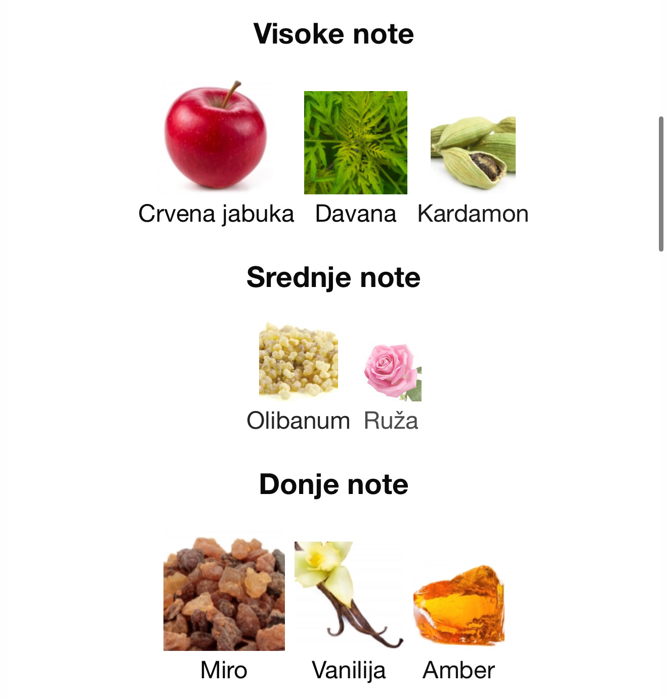 Firestorm Extrait by French Avenue